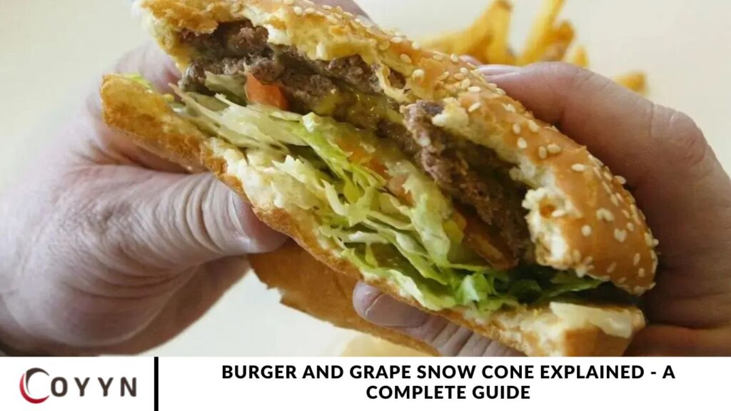 Burger and Grape Snow Cone Explained - A Complete Guide