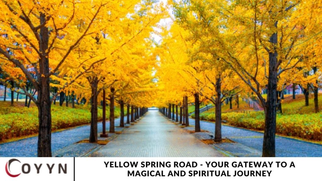 Yellow Spring Road - Your Gateway to a Magical and Spiritual Journey